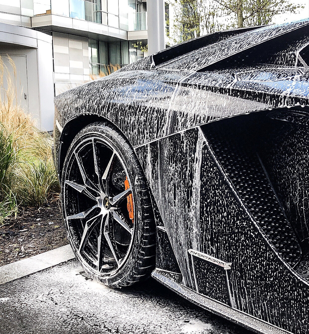 Premium Exterior Detail